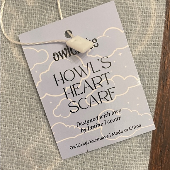 NWT Owlcrate Light Gray Scarf with Fringe - Picture 3 of 6